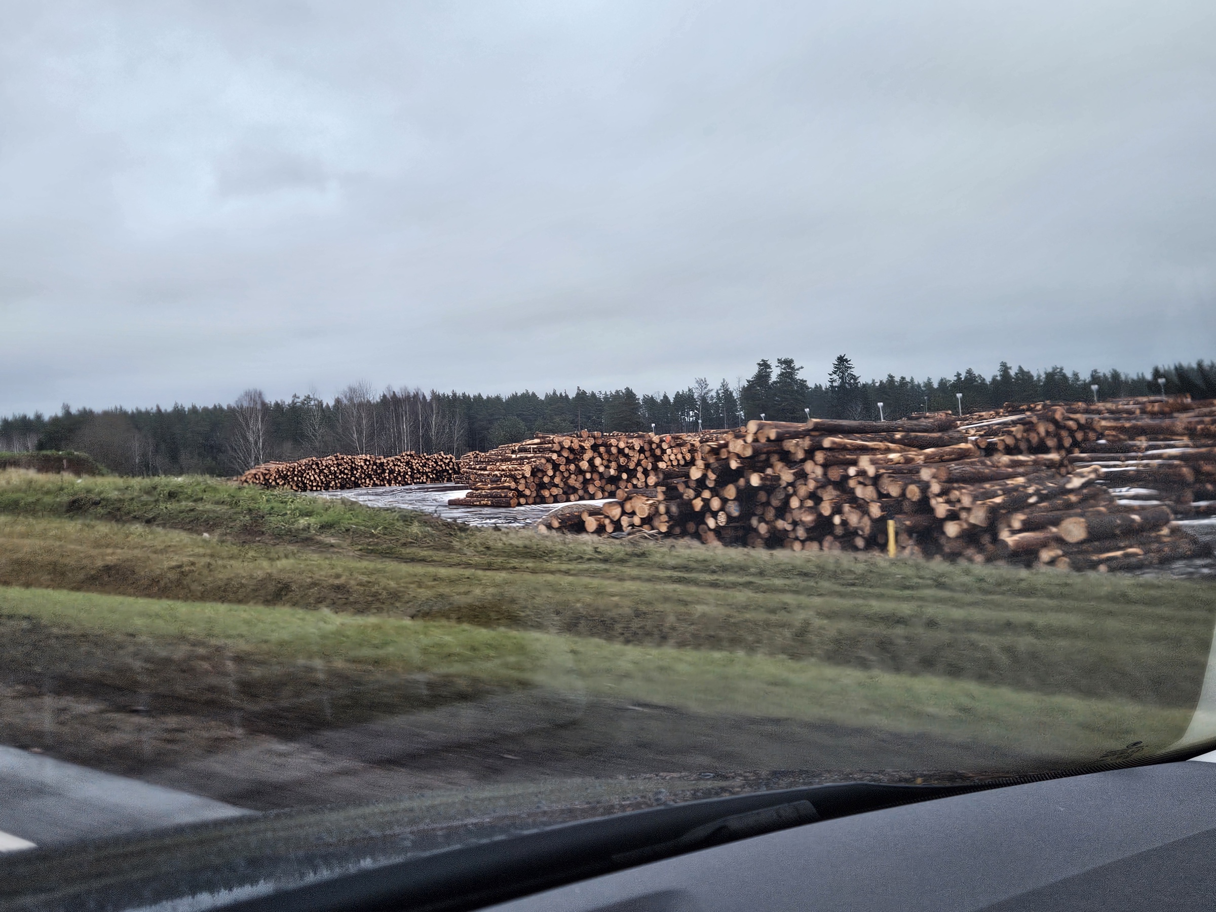 Timber yard visited during the Nordic Saunas trip to Estonia